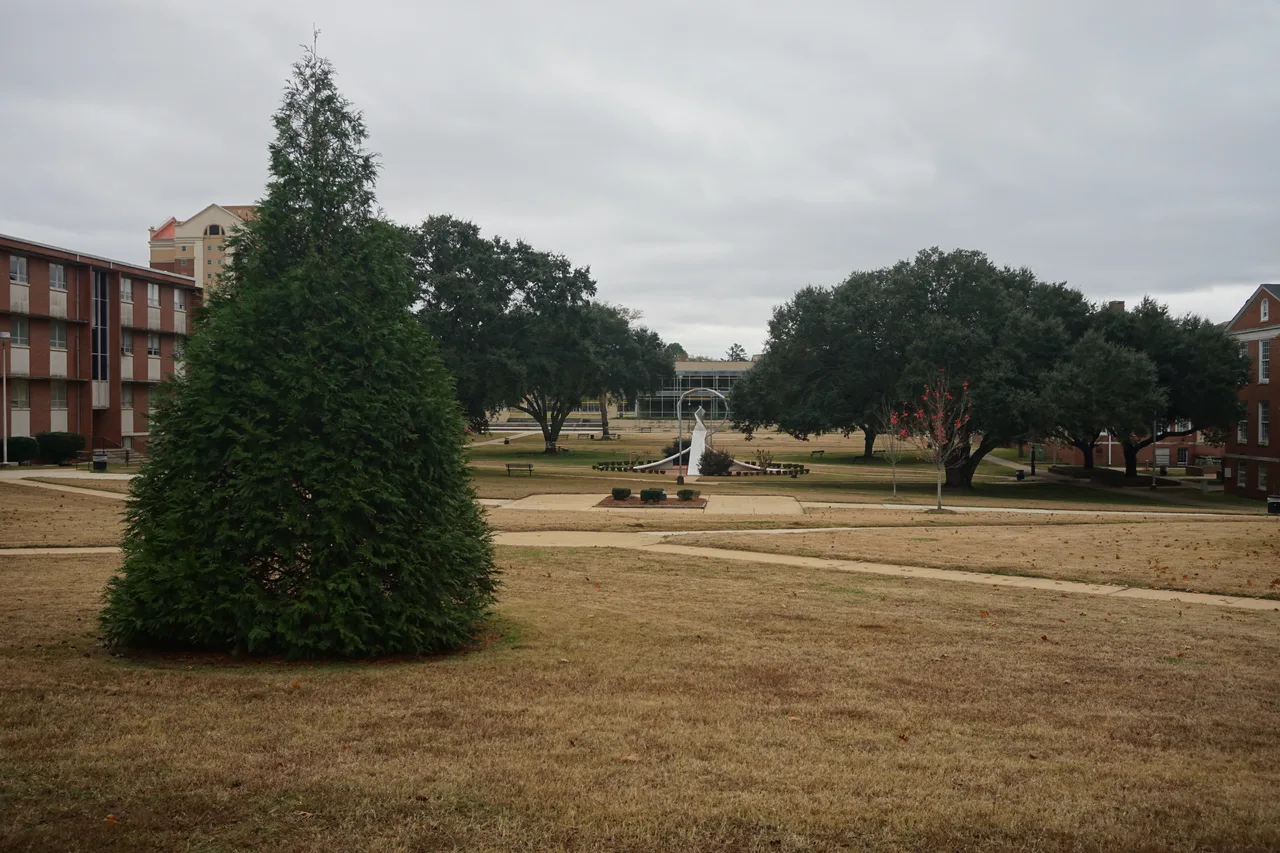 A grassy quad with trees, paths and brick campus buildings at Alabama State University.