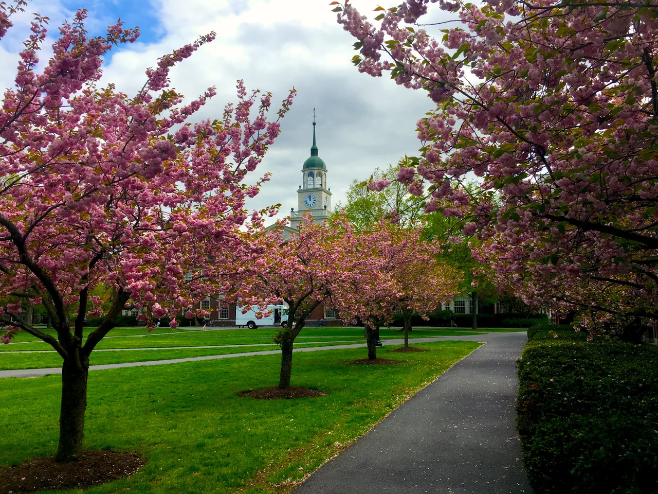 Cherry blossoms and paths on Bucknell University’s Academic Quad, with Bertrand Library in the background.