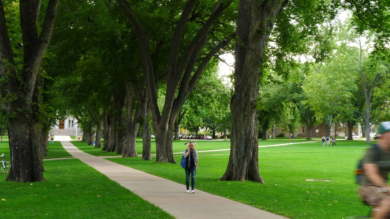 The Oval at Colorado State