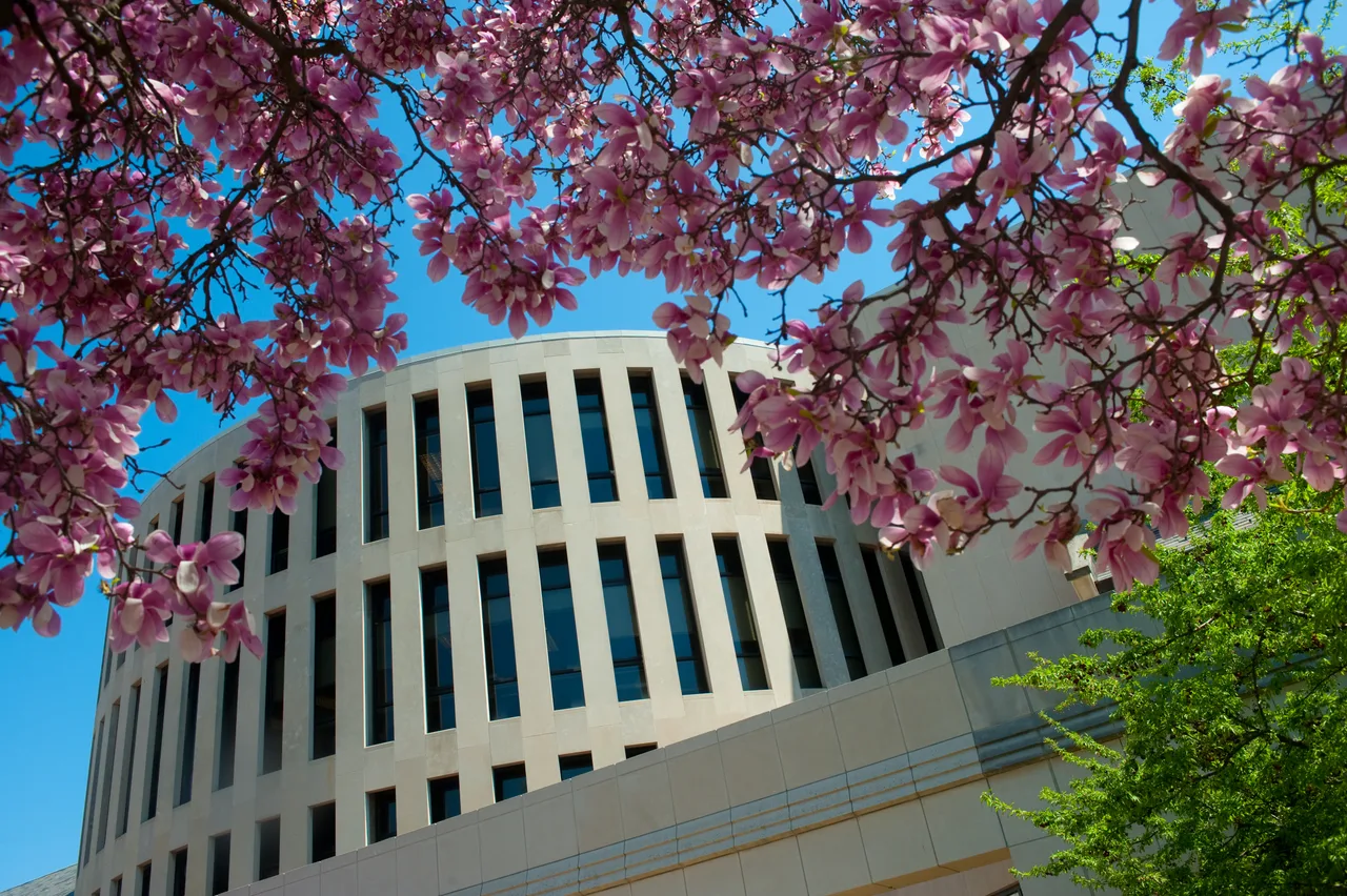 The curved cream-colored facade of Rankin Hall at Indiana State University, framed by pink flowering branches.