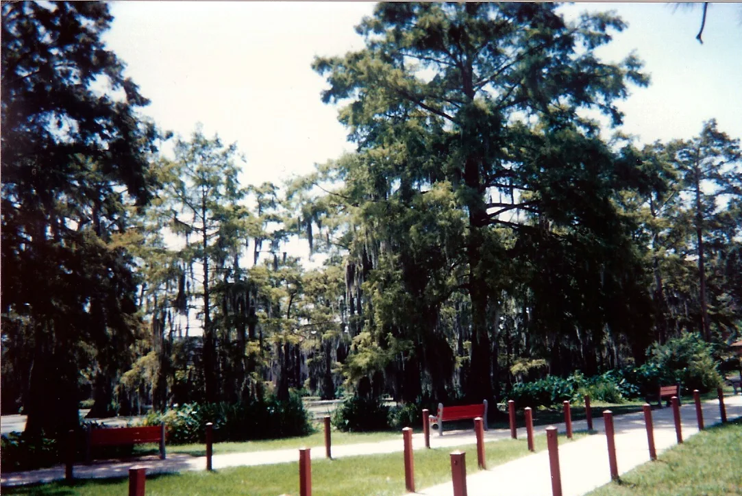 Cypress Lake at University of Louisiana at Lafayette