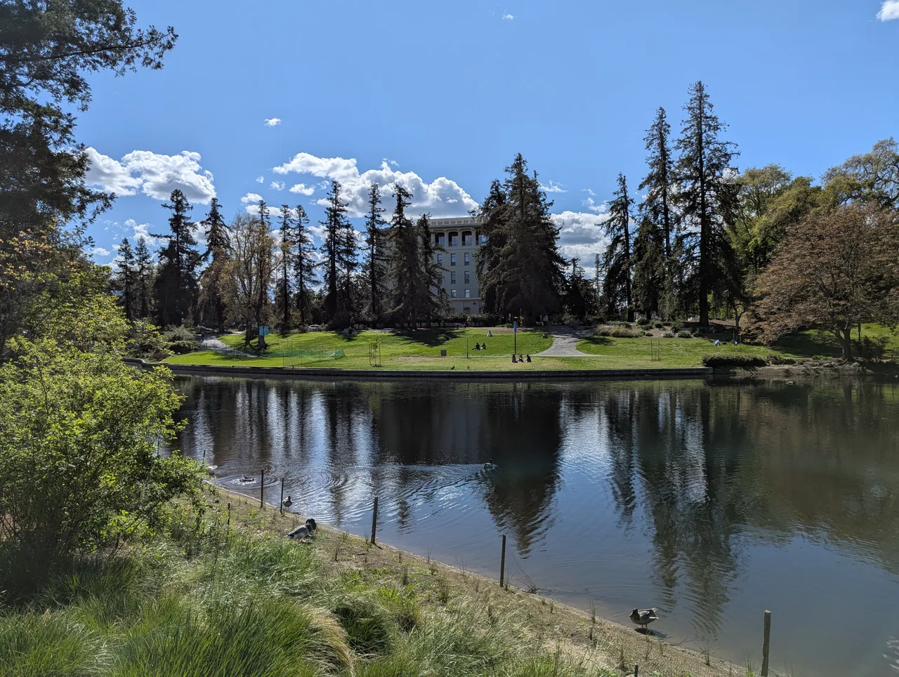 Mrak Hall behind a lawn and mature trees across Lake Spafford at UC Davis.
