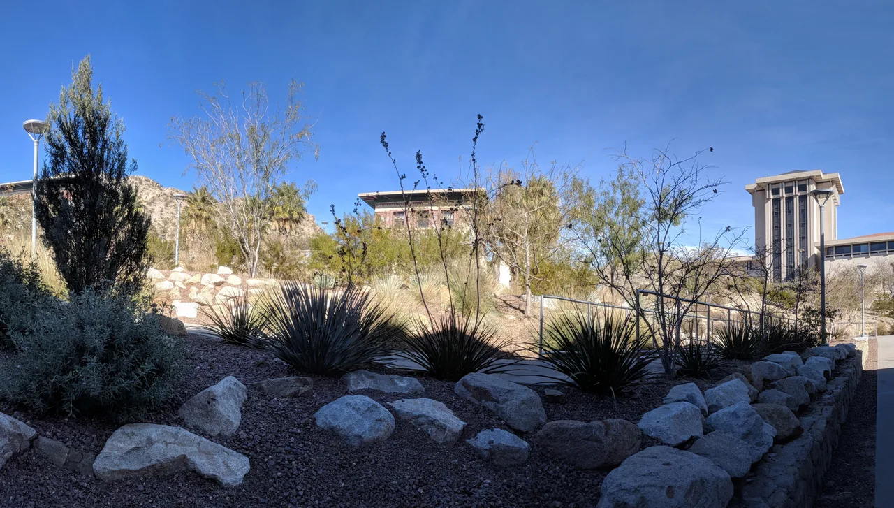 University of Texas at El Paso campus