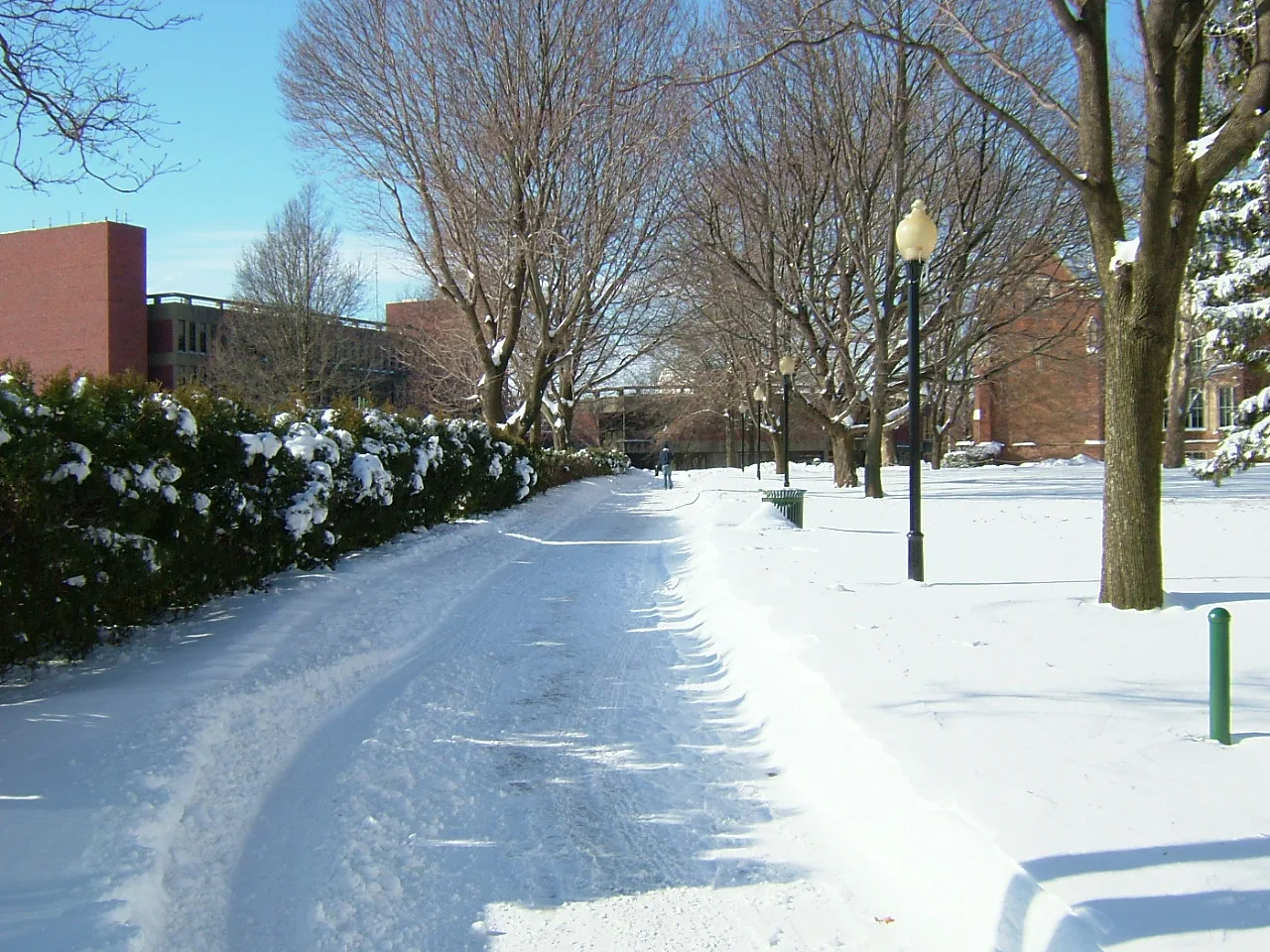 Wagner College campus: The Path at Wagner College Covered in snow